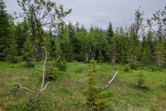 IMG_20230624_123106