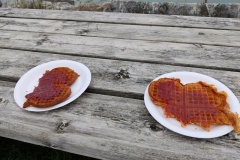 IMG_20230624_132238