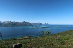 IMG_4471