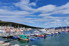 IMG_20230703_122429