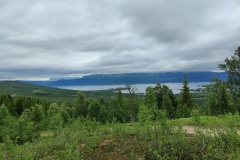 IMG_20230705_122416