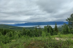 IMG_20230705_122421