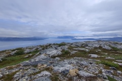 IMG_20230706_122426