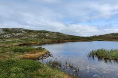 IMG_20230706_124110