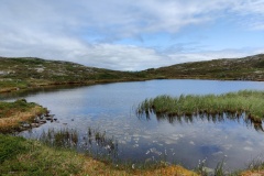 IMG_20230706_124116