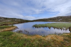 IMG_20230706_124122