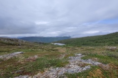 IMG_20230706_124129