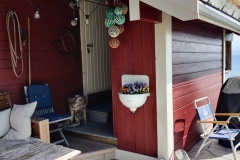 IMG_20230708_104228