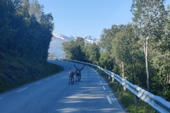IMG_20230712_092654