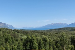 IMG_20230712_104505