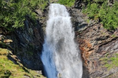 IMG_20230712_104835