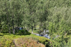 IMG_20230712_105927