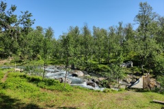 IMG_20230712_110202