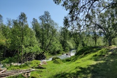 IMG_20230712_110211