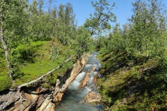 IMG_20230712_112042