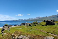 IMG_20230717_125922