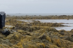 IMG_20240622_133116