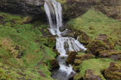 IMG_20240623_100422
