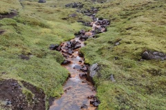 IMG_20240623_104752