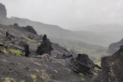 IMG_20240623_111049