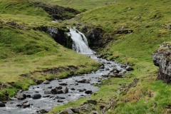IMG_20240624_114212