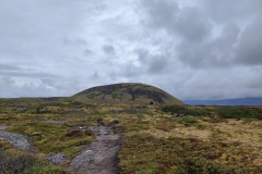 IMG_20240625_140818