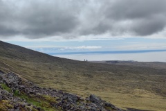 IMG_20240626_120800