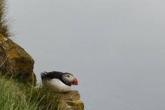 IMG_20240627_152333