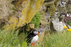 IMG_20240627_152558