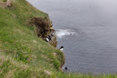 IMG_20240627_153118