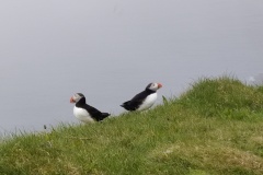 IMG_20240627_154511