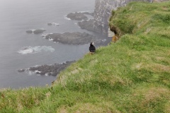 IMG_20240627_154604