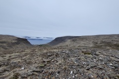 IMG_20240629_124058
