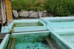 IMG_20240629_160313