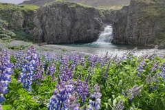 IMG_20240630_114126