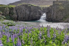 IMG_20240630_114150