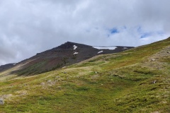 IMG_20240703_111518