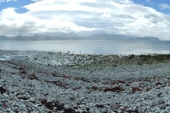 IMG_20240704_144945