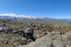 IMG_20240707_143604