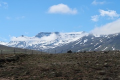 IMG_6470