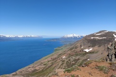 IMG_20240708_123755