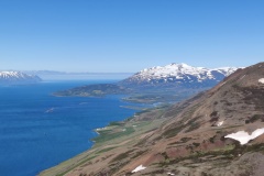 IMG_20240708_123800