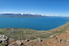 IMG_20240708_123838