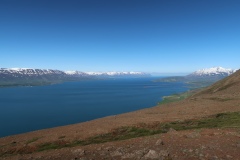 IMG_6528