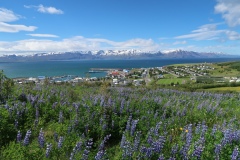 IMG_6686