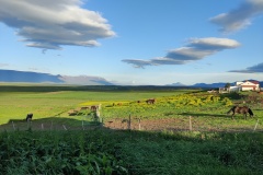 IMG_20240714_204926