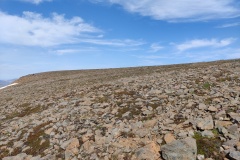 IMG_20240715_113443