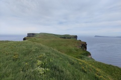 IMG_20240716_113115