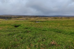 IMG_20250623_140655