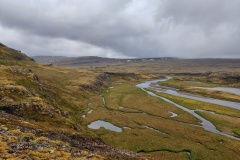 IMG_20250623_141851